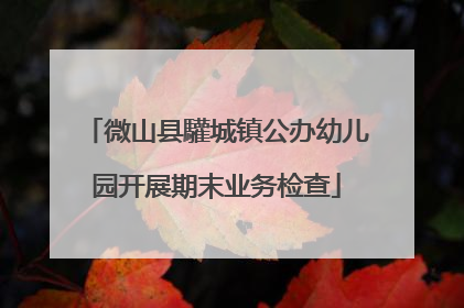 微山县驩城镇公办幼儿园开展期末业务检查