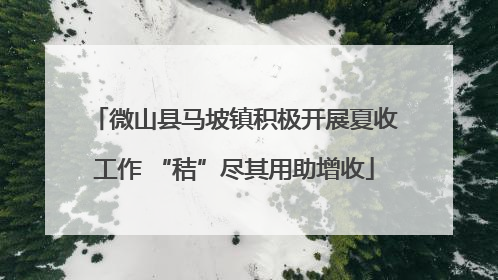 微山县马坡镇积极开展夏收工作 “秸”尽其用助增收