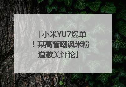 小米YU7爆单！某高管嘲讽米粉道歉关评论