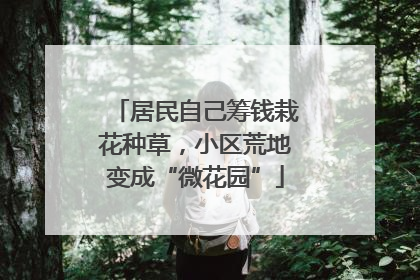 居民自己筹钱栽花种草，小区荒地变成“微花园”