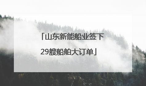 山东新能船业签下29艘船舶大订单