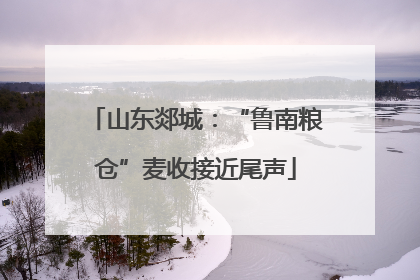 山东郯城：“鲁南粮仓”麦收接近尾声