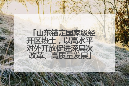 山东锚定国家级经开区热土，以高水平对外开放促进深层次改革、高质量发展