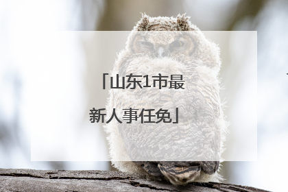 山东1市最新人事任免