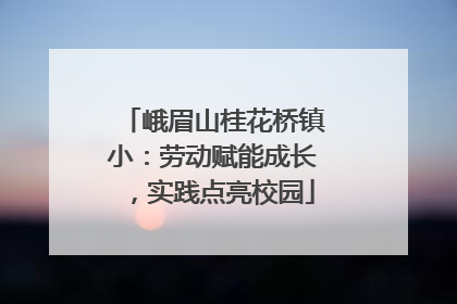 峨眉山桂花桥镇小：劳动赋能成长，实践点亮校园