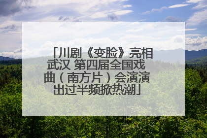 川剧《变脸》亮相武汉 第四届全国戏曲（南方片）会演演出过半频掀热潮