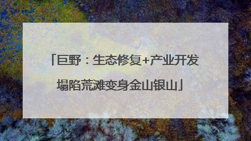 巨野：生态修复+产业开发 塌陷荒滩变身金山银山
