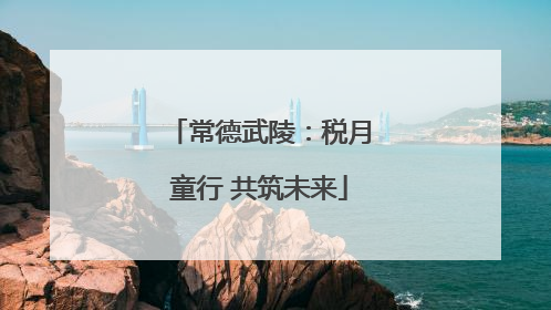 常德武陵：税月童行 共筑未来