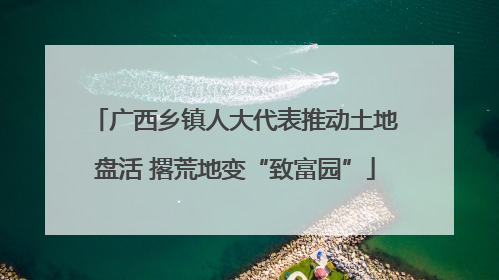 广西乡镇人大代表推动土地盘活 撂荒地变“致富园”