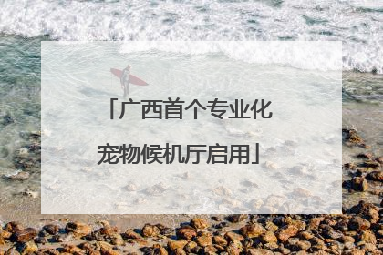 广西首个专业化宠物候机厅启用
