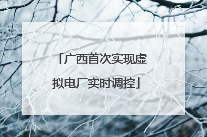 广西首次实现虚拟电厂实时调控