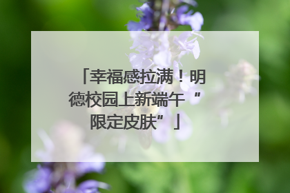 幸福感拉满！明德校园上新端午“限定皮肤”