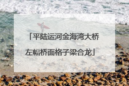 平陆运河金海湾大桥左幅桥面格子梁合龙
