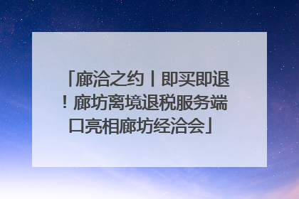 廊洽之约丨即买即退！廊坊离境退税服务端口亮相廊坊经洽会