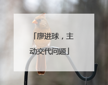 廖进球，主动交代问题