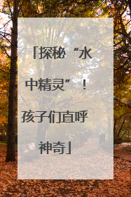 探秘“水中精灵”！孩子们直呼神奇