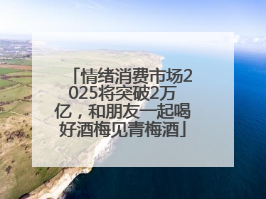情绪消费市场2025将突破2万亿，和朋友一起喝好酒梅见青梅酒