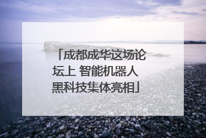 成都成华这场论坛上 智能机器人黑科技集体亮相