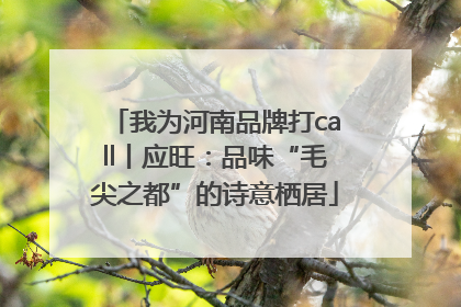 我为河南品牌打call丨应旺：品味“毛尖之都”的诗意栖居