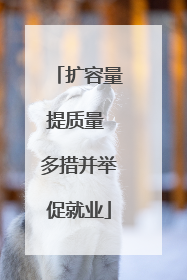 扩容量提质量 多措并举促就业
