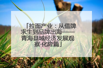 拉面产业：从借牌求生到品牌出海——青海县域经济发展观察·化隆篇