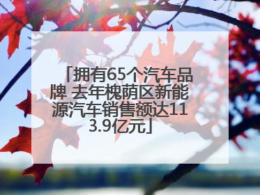 拥有65个汽车品牌 去年槐荫区新能源汽车销售额达113.9亿元