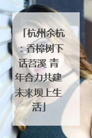 杭州余杭：香樟树下话苕溪 青年合力共建未来坝上生活