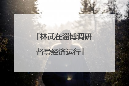 林武在淄博调研督导经济运行