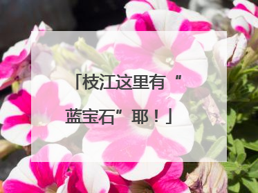 枝江这里有“蓝宝石”耶！