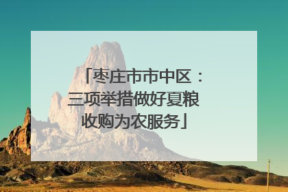 枣庄市市中区：三项举措做好夏粮收购为农服务
