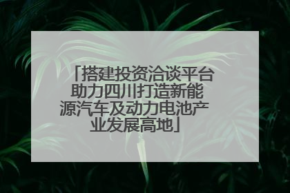搭建投资洽谈平台 助力四川打造新能源汽车及动力电池产业发展高地