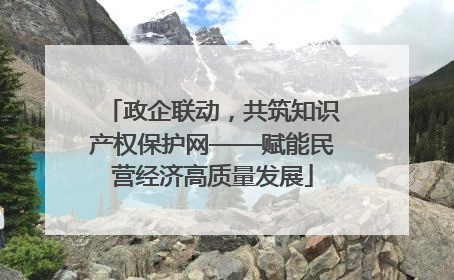 政企联动，共筑知识产权保护网——赋能民营经济高质量发展