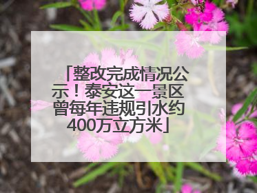 整改完成情况公示！泰安这一景区曾每年违规引水约400万立方米