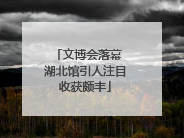 文博会落幕 湖北馆引人注目收获颇丰