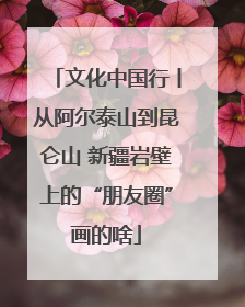 文化中国行丨从阿尔泰山到昆仑山 新疆岩壁上的“朋友圈”画的啥