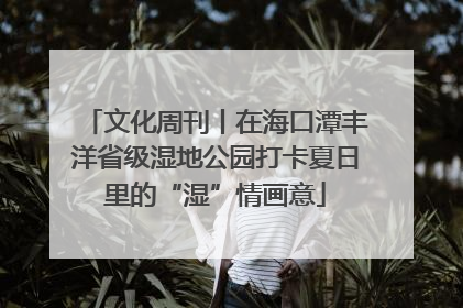 文化周刊丨在海口潭丰洋省级湿地公园打卡夏日里的“湿”情画意