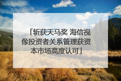 斩获天马奖 海信视像投资者关系管理获资本市场高度认可