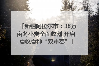 新疆阿拉尔市：38万亩冬小麦全面收割 开启夏收夏种“双重奏”