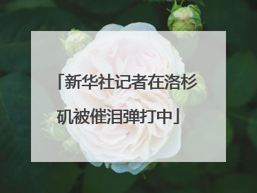 新华社记者在洛杉矶被催泪弹打中