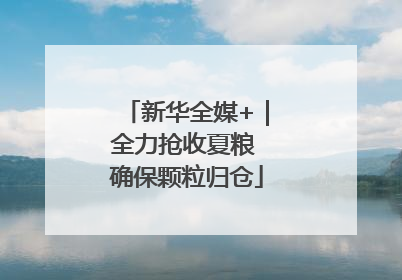 新华全媒+｜全力抢收夏粮 确保颗粒归仓