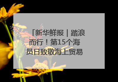 新华鲜报｜踏浪而行！第15个海员日致敬海上贸易“守护人”