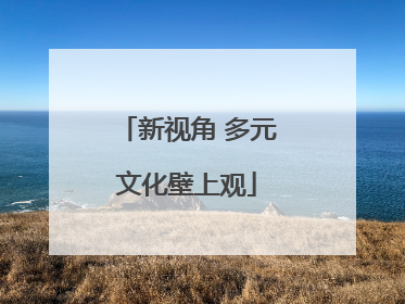 新视角 多元文化壁上观