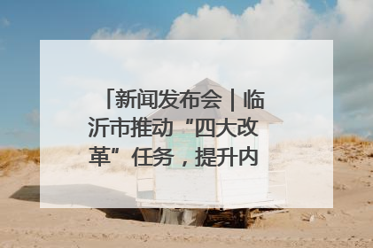 新闻发布会｜临沂市推动“四大改革”任务，提升内部审计监督效能