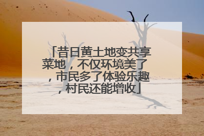 昔日黄土地变共享菜地，不仅环境美了，市民多了体验乐趣，村民还能增收