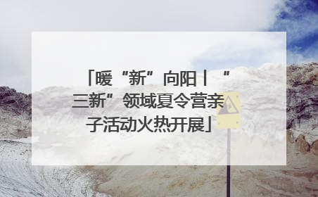 暖“新”向阳丨“三新”领域夏令营亲子活动火热开展