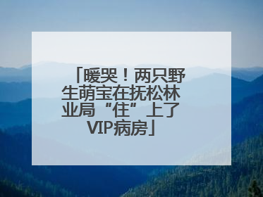 暖哭！两只野生萌宝在抚松林业局“住”上了VIP病房