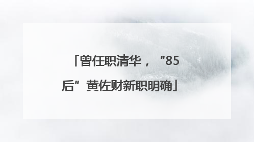 曾任职清华，“85后”黄佐财新职明确