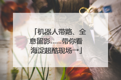 机器人带路、全息留影……带你看海淀超酷现场→