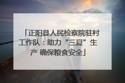 正阳县人民检察院驻村工作队：助力“三夏”生产 确保粮食安全