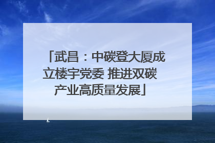 武昌：中碳登大厦成立楼宇党委 推进双碳产业高质量发展